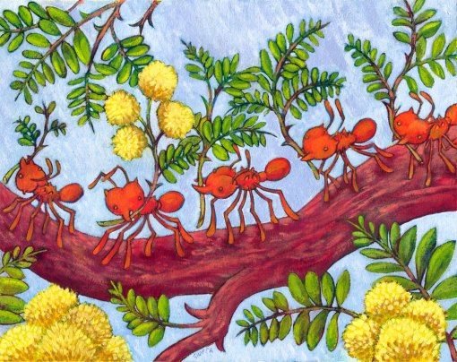 ants_gather-chris-shafer ants_gather-chris-shafer