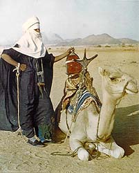 morocco-tuareg