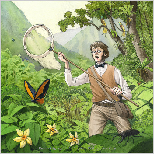 krakatoa-butterfly_net-jason-chin