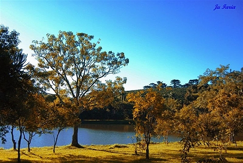 outono-esp-santo-do-pinhal-sp