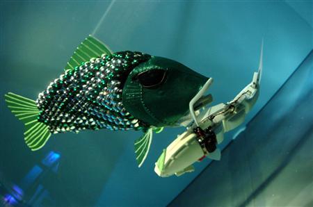 peixe-robo-2