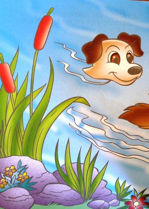 cachorrinho-nadando-mw-editora-e-ilustracoes