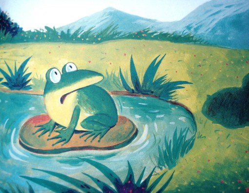 sapo-assustado sapo-assustado