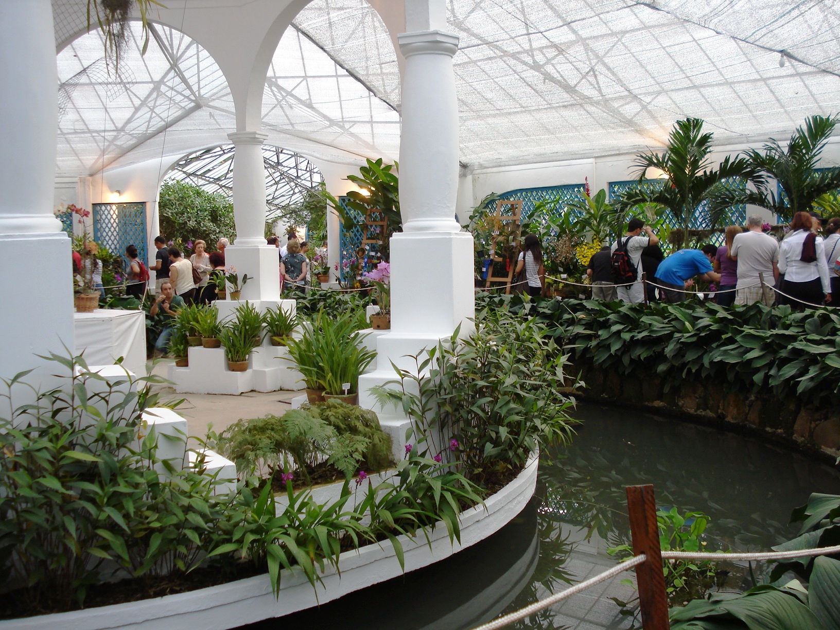 dsc06677 Jardim Botânico do Rio de Janeiro, Exposição e Venda de Orquídeas, Maio 2009, Foto: Ladyce West