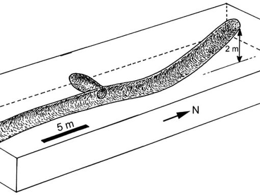 Gráfico da extensão e formato dos túneis na paleotoca.