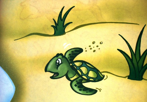 tartaruga 1