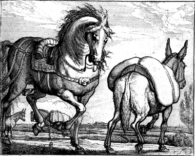 horsedonkeybarlow_400