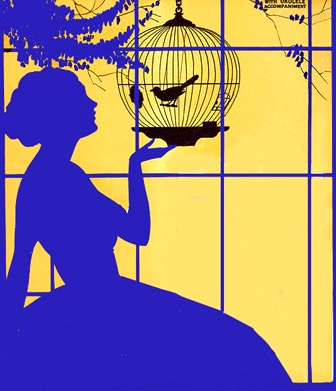 passarinho na gaiola 4