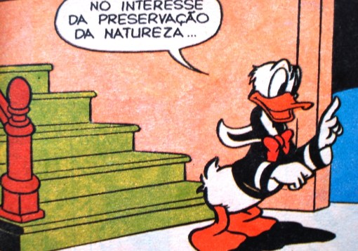 preservação da natureza