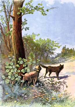 dog and wolf,george fairpont