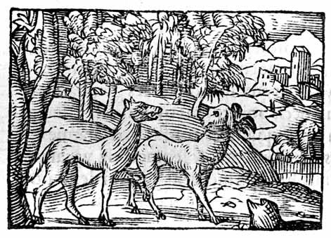le loup et le chien bernard salomon, 1547