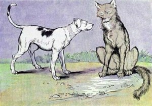 the-dog-and-the-wolf-300x210