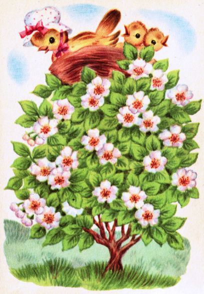 primavera, 1964, tony brice