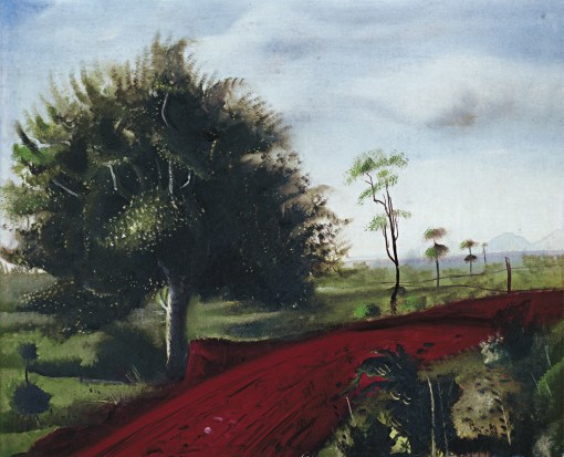CandidoPortinari,PaisagemdeBrodowski,osm,colpart,SP