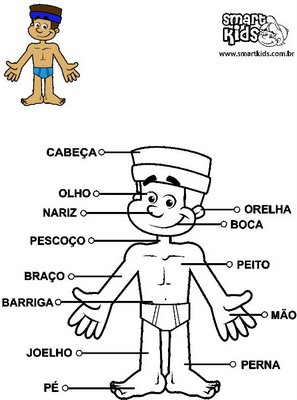 corpo-humano-1