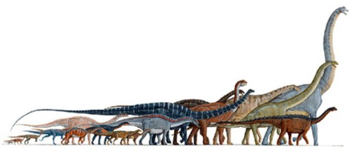 sauropodes