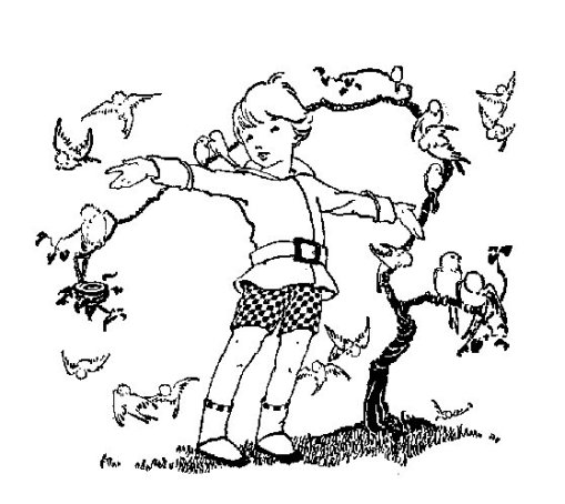 menino com passarinhos