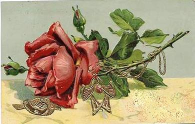 rosa cartão postal 1909