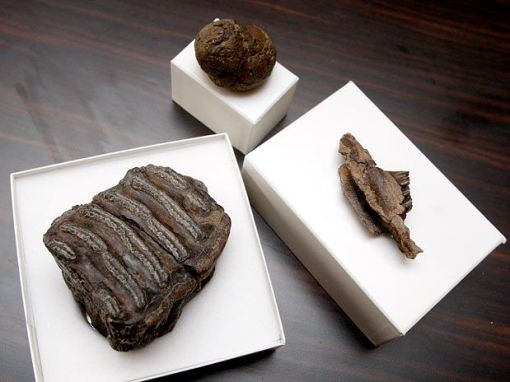 instrumentos primeiros britânicos