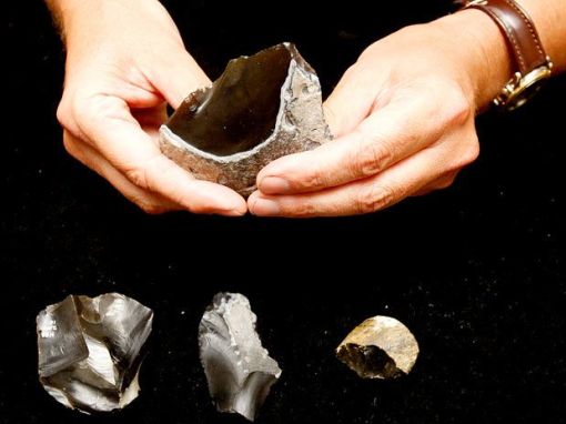 milhares de ancestrais caçavam e pescavam mamutes alces gigantes veados