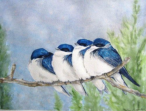 passarinhos no galho (andorinhas)