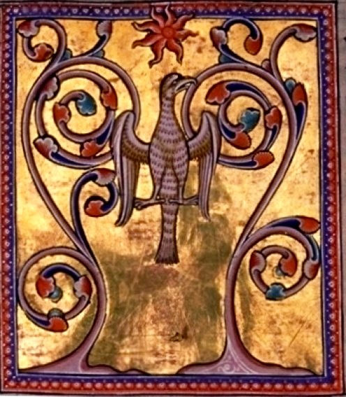 Fênix, Bestiario, Manuscrito Aberdeen sec xii,