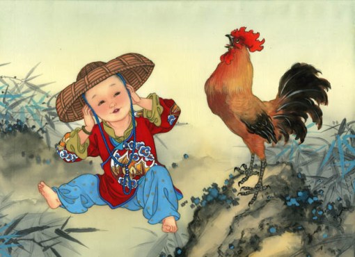 galo, canto do galo, ils Caroline Young