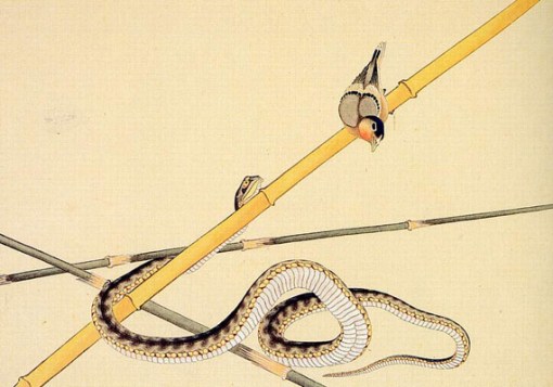 hokusai-katsushika--schlange-und-voeglein-Katsushika Hokusai - Snake and bird - Cobra e pássaro
