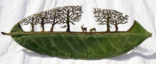 Lorenzo Duran, hoja01