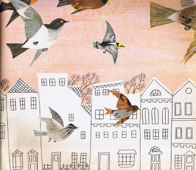 Pássaros na cidade AliceMartin