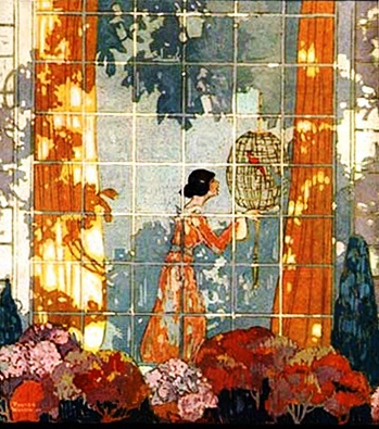 passarinho na gaiola 5