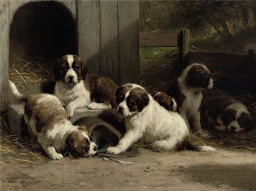 st bernard puppies