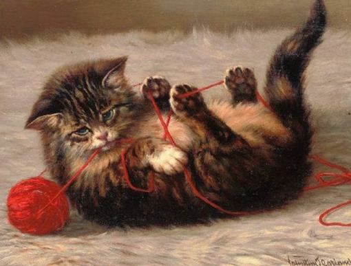Animal - Cat - Kitten, cat's cradle