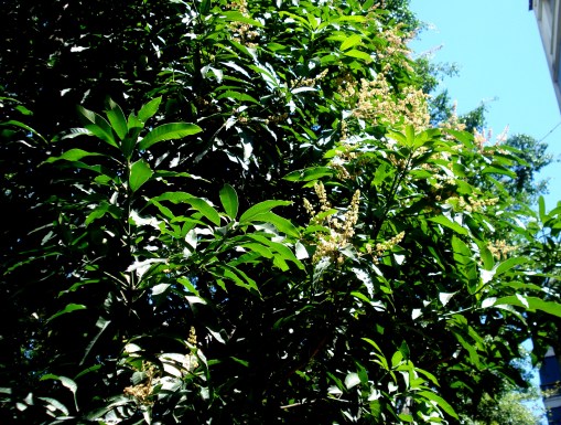 ???????????????????????????????