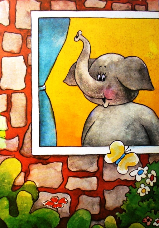 elefante na janela