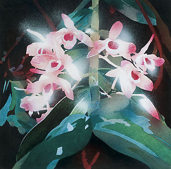 Kuno Schiefer., Orquídea, ost, 1983, 100x 100