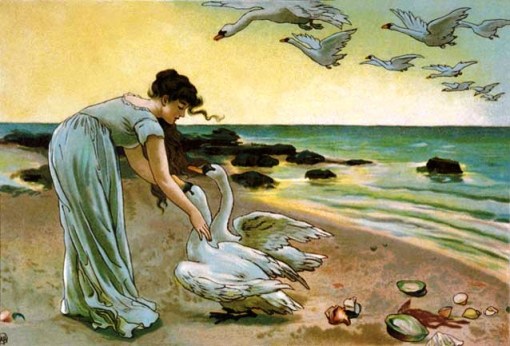 cisnes brancos, alice havers