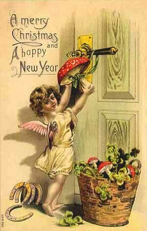 f3cab4a5e49160a62f2d0ede53c8e57c