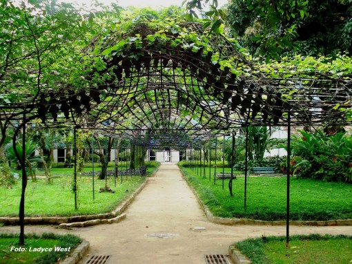 ???????????????????????????????