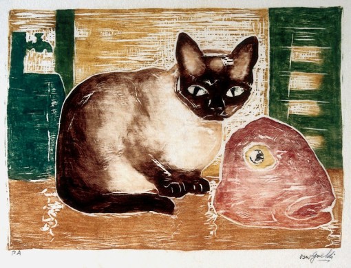 goeldi gato e cabeça de peixe