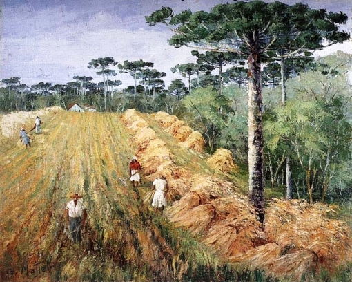 Guilherme Matter (1904 -1978) plantação de trigo no Paraná.