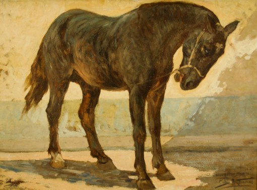 ANTONIO PARREIRAS - (1860 - 1937) - Cavalo - osm - 50 x 70 - cid