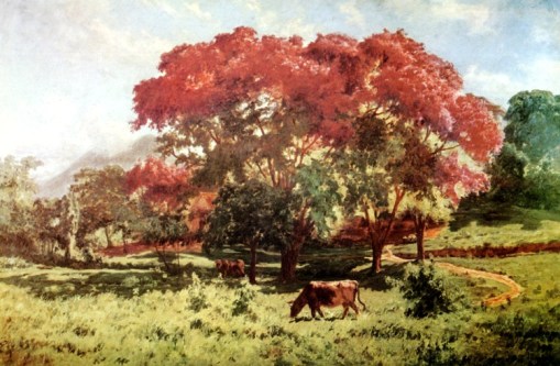 João Baptista da Costa (Brasil,1865-1926)Sapucaieiras, ost,