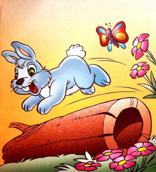 coelhinho Lino e a borboleta, M W Ilustrações