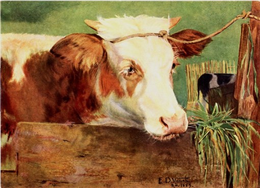 Eliseu Visconti, OVITELOOST1889COLPARTICULAR