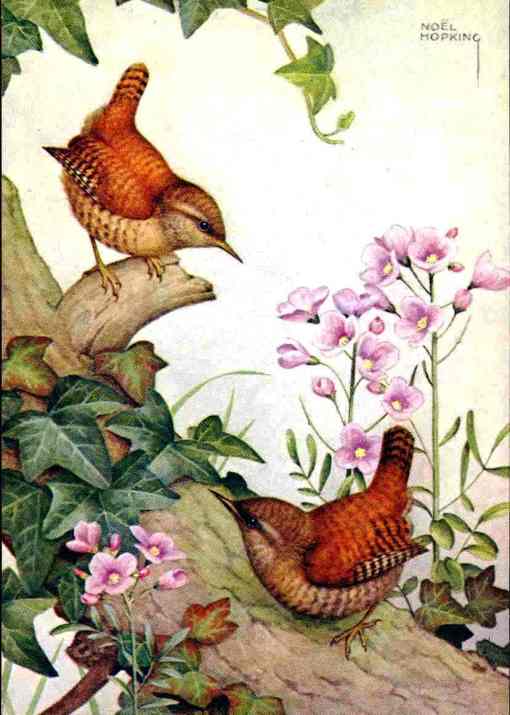 passaros-no-galho-noel-hopking