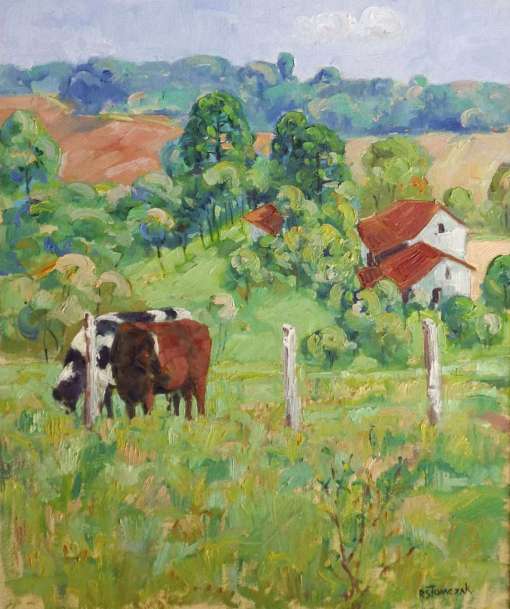 rene-silvio-tomczak-brasil-contemporaneo-paisagem-rural-ost-60x50cm