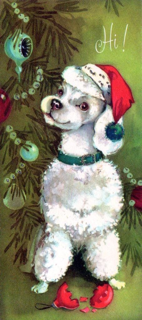 0325a94a65886092e13295e1b50228d4