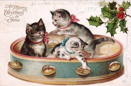 3-gatinhos-no-pandeiro