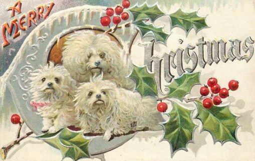 cachorrinhos-no-natal